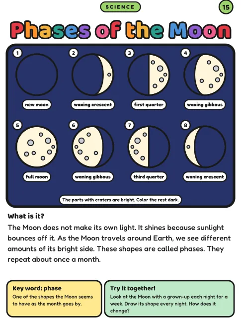 Phases of the Moon coloring page