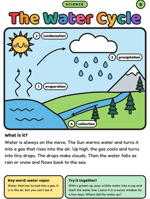 The Water Cycle coloring page